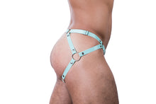 Lade das Bild in den Galerie-Viewer, HARNESS BRIEF