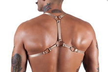 Cargar imagen en el visor de la galería, ARNÉS NEGRO