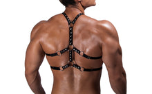 Cargar imagen en el visor de la galería, ARNÉS SUNDAY NEGRO