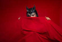 Load image into Gallery viewer, Mask Sphinx
